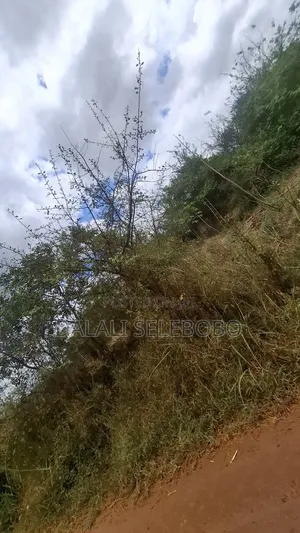 9hector 4 Mining at Bahi Dodoma Mpalanga Full Document