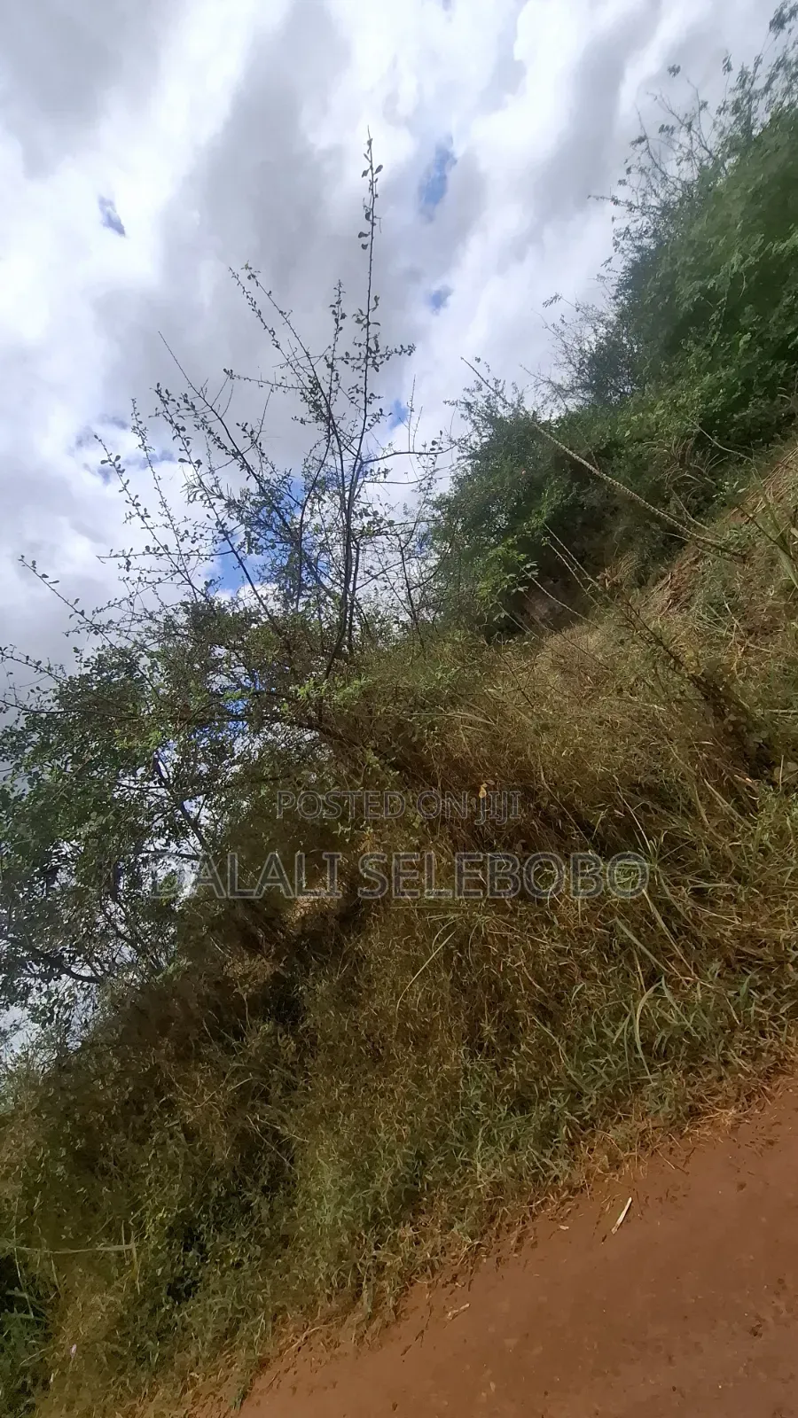 9hector 4 Mining at Bahi Dodoma Mpalanga Full Document