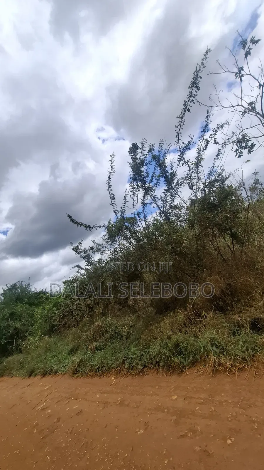 9hector 4 Mining at Bahi Dodoma Mpalanga Full Document