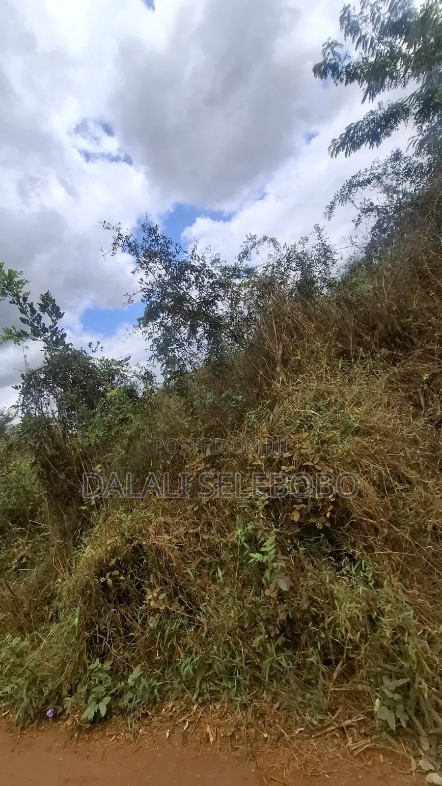 9hector 4 Mining at Bahi Dodoma Mpalanga Full Document