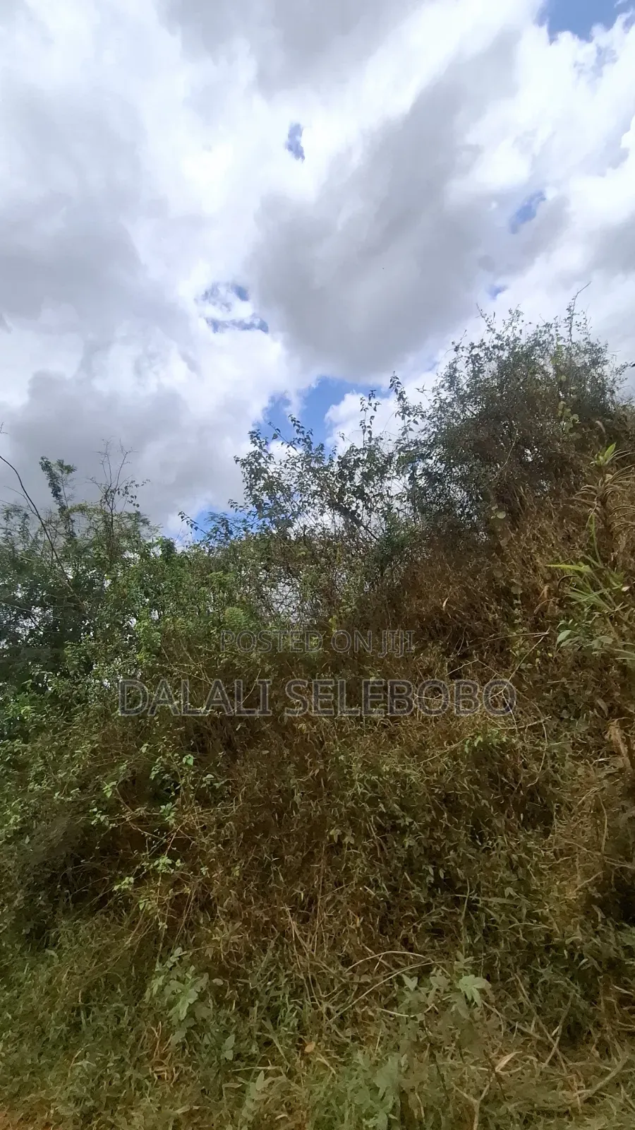 9hector 4 Mining at Bahi Dodoma Mpalanga Full Document