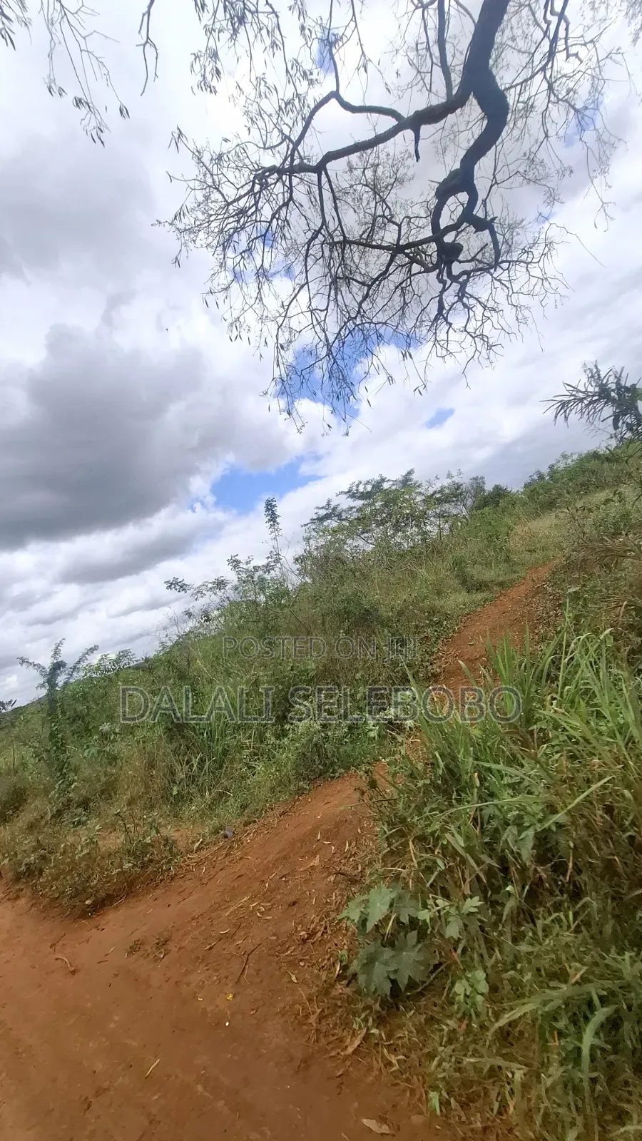 9hector 4 Mining at Bahi Dodoma Mpalanga Full Document