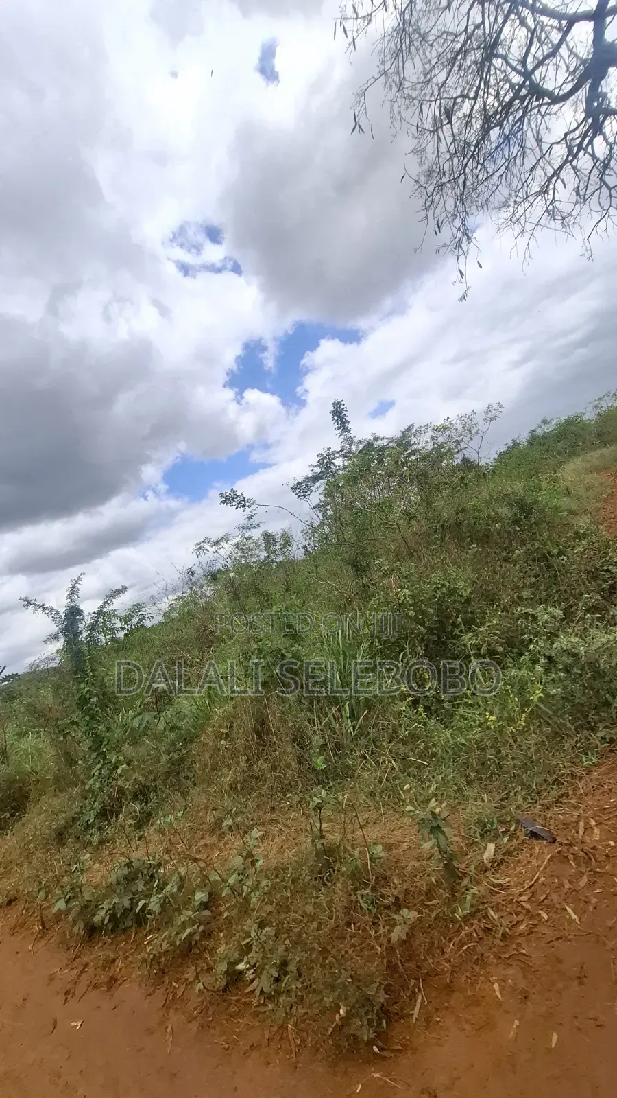 9hector 4 Mining at Bahi Dodoma Mpalanga Full Document