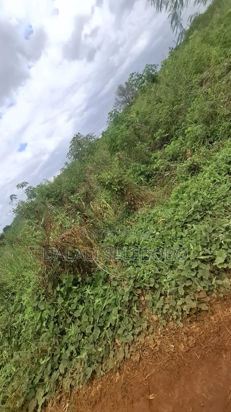 9hector 4 Mining at Bahi Dodoma Mpalanga Full Document
