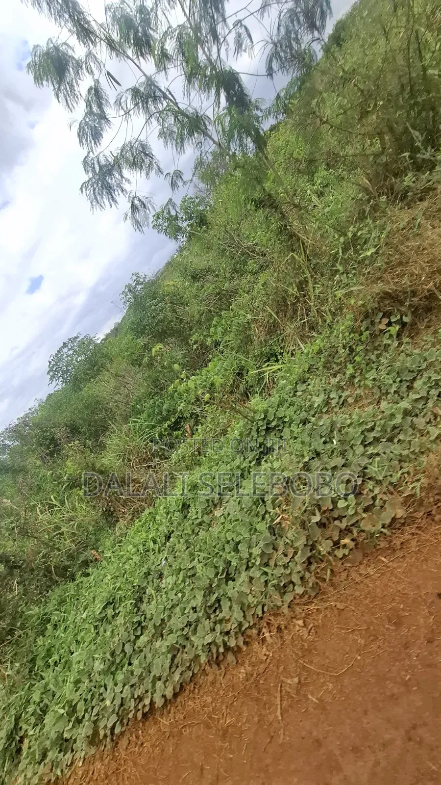 9hector 4 Mining at Bahi Dodoma Mpalanga Full Document