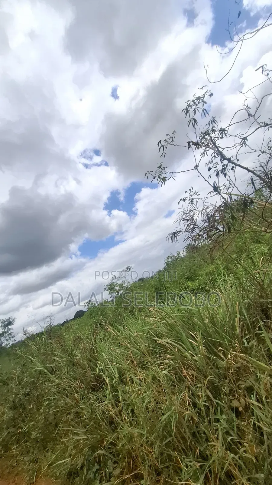 9hector 4 Mining at Bahi Dodoma Mpalanga Full Document
