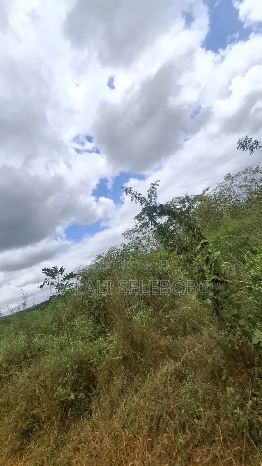 9hector 4 Mining at Bahi Dodoma Mpalanga Full Document