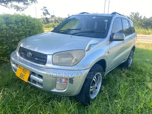 Toyota RAV4 2008 Silver