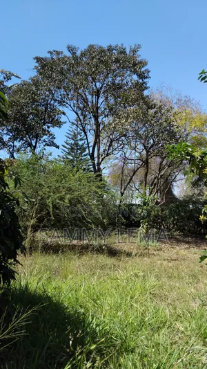 Great Plot for Business or Residential in Sakina