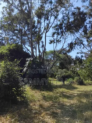 Great Plot for Business or Residential in Sakina