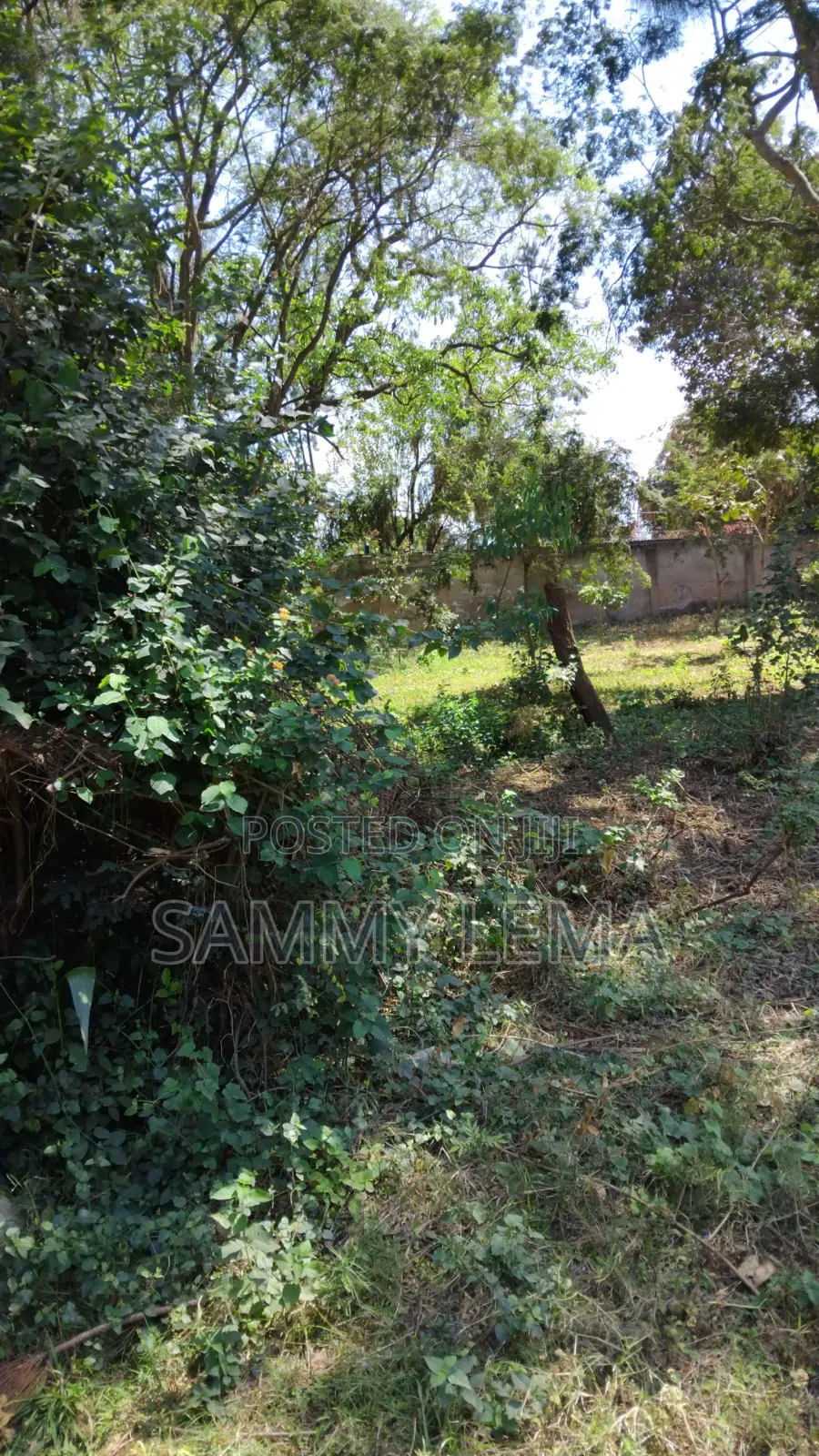 Great Plot for Business or Residential in Sakina