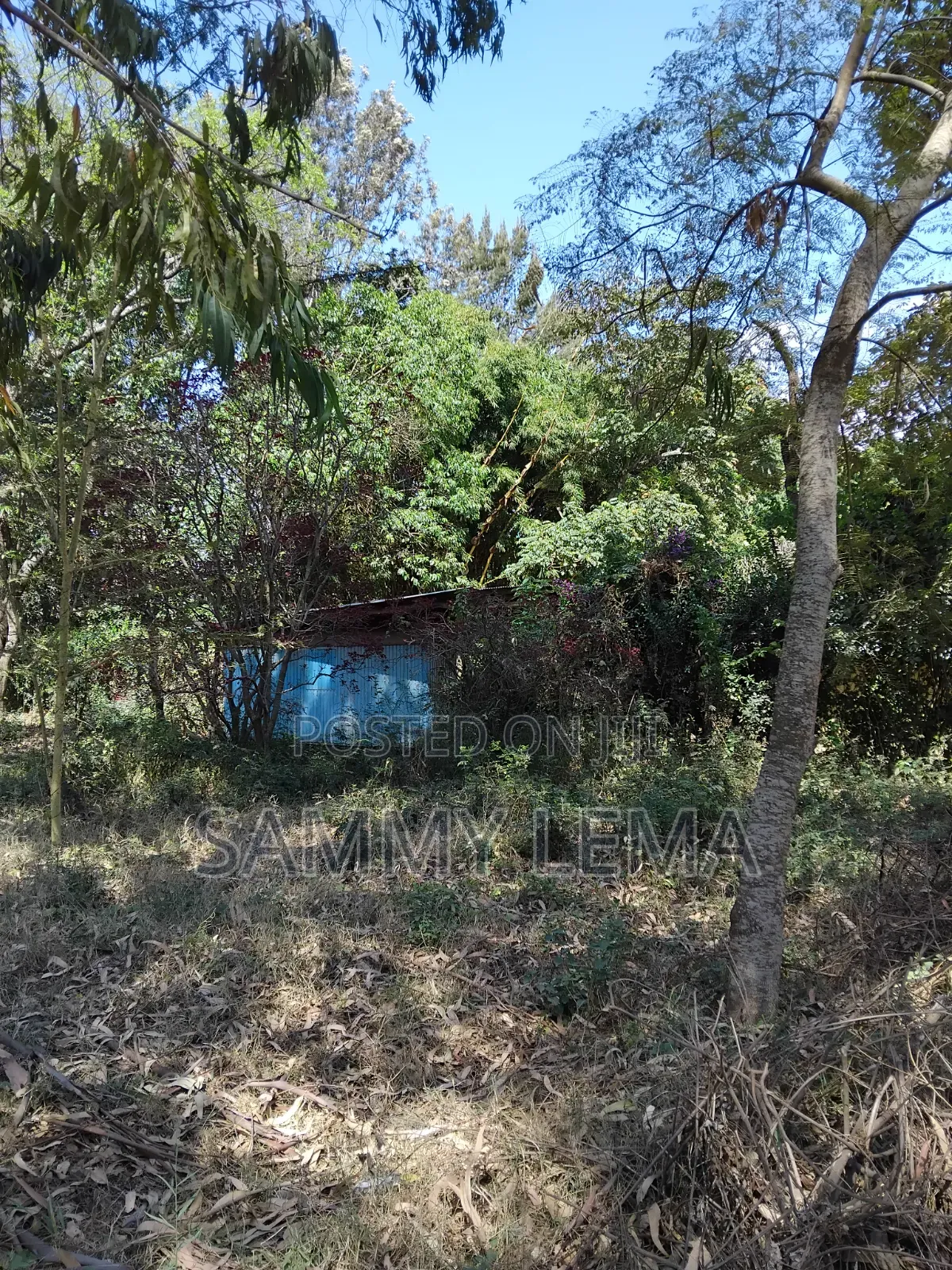 Great Plot for Business or Residential in Sakina