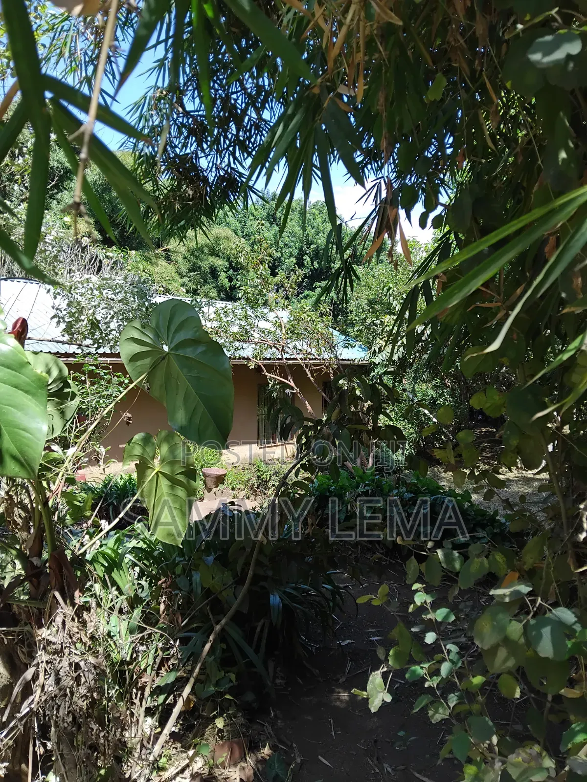 Great Plot for Business or Residential in Sakina