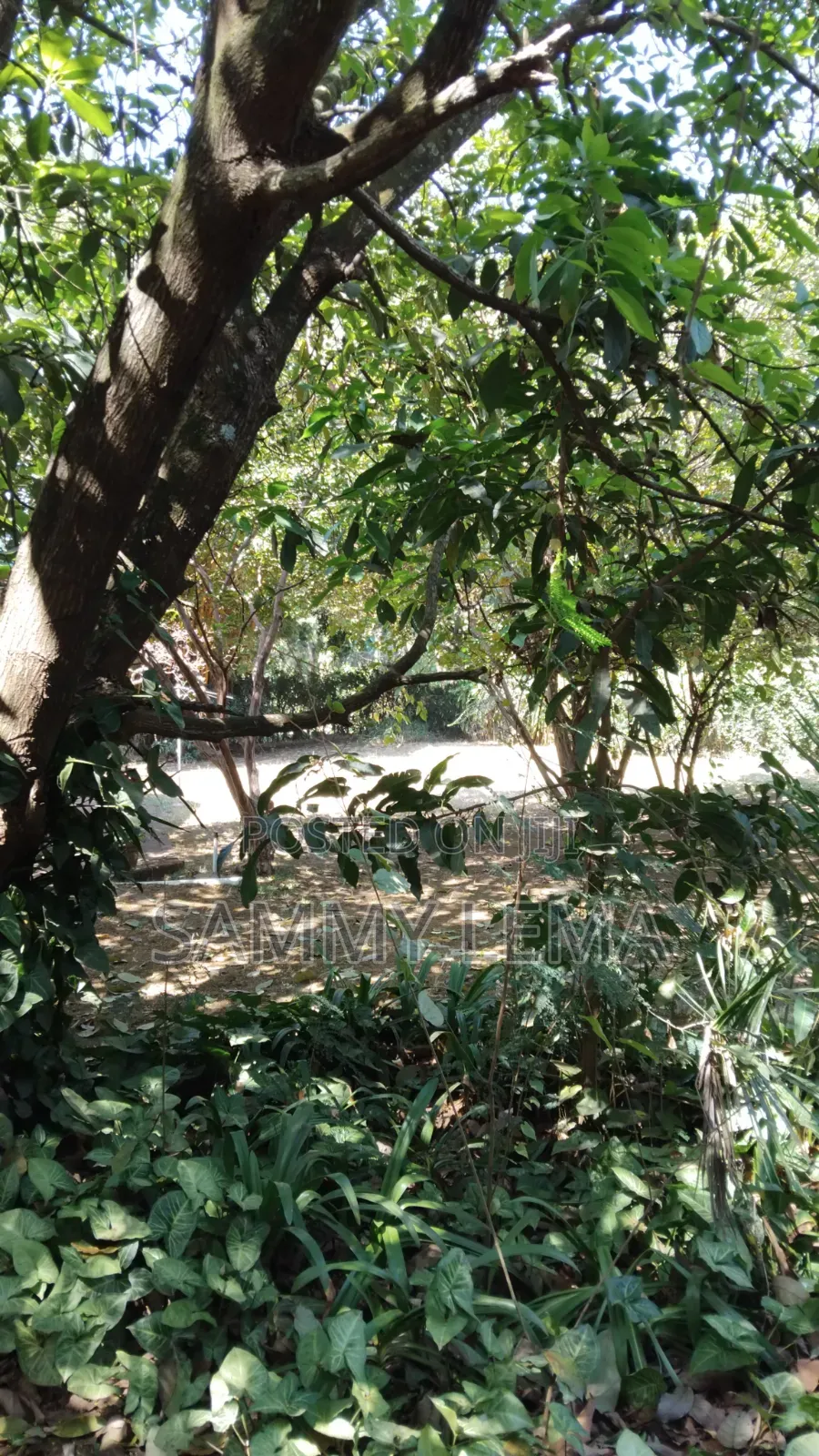 Great Plot for Business or Residential in Sakina