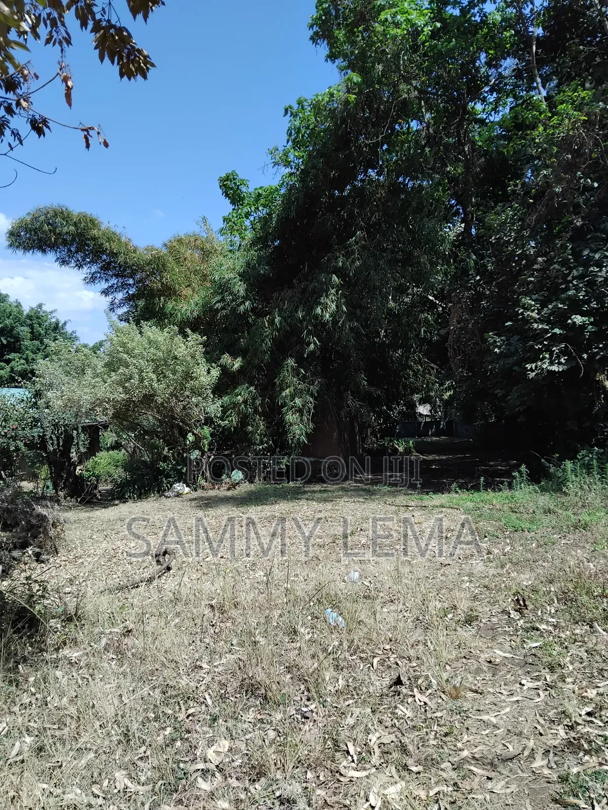 Great Plot for Business or Residential in Sakina