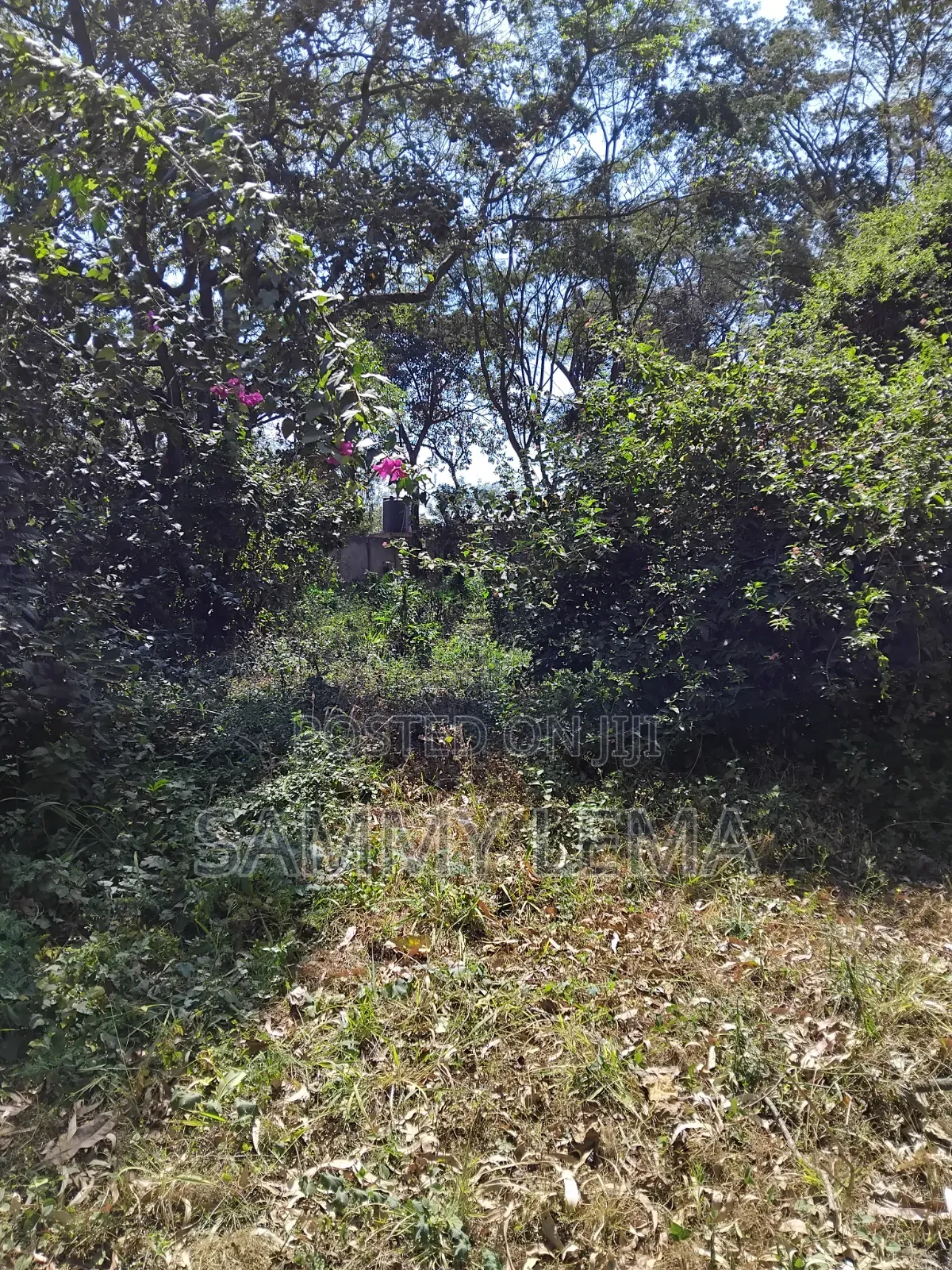 Great Plot for Business or Residential in Sakina