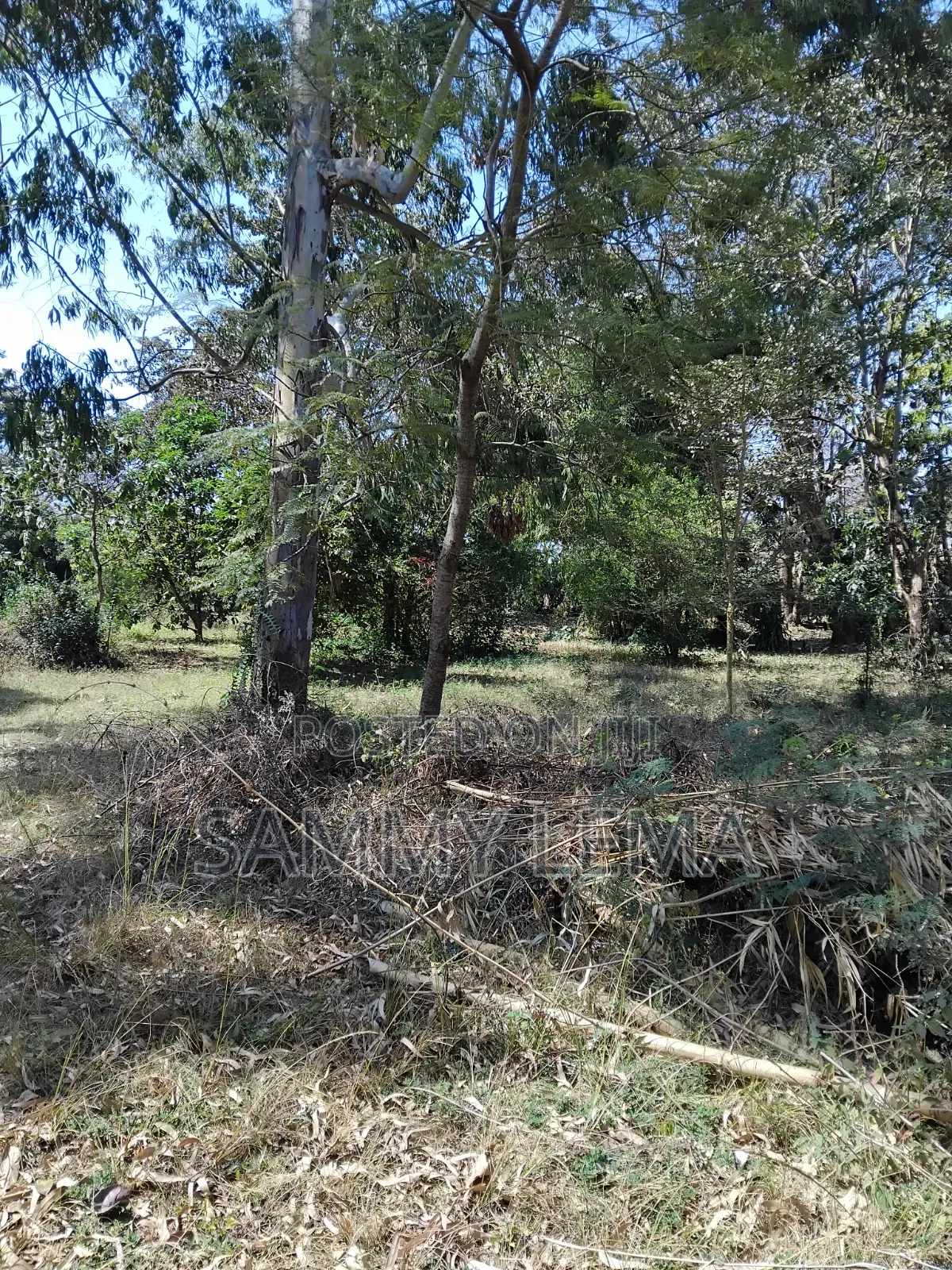 Great Plot for Business or Residential in Sakina