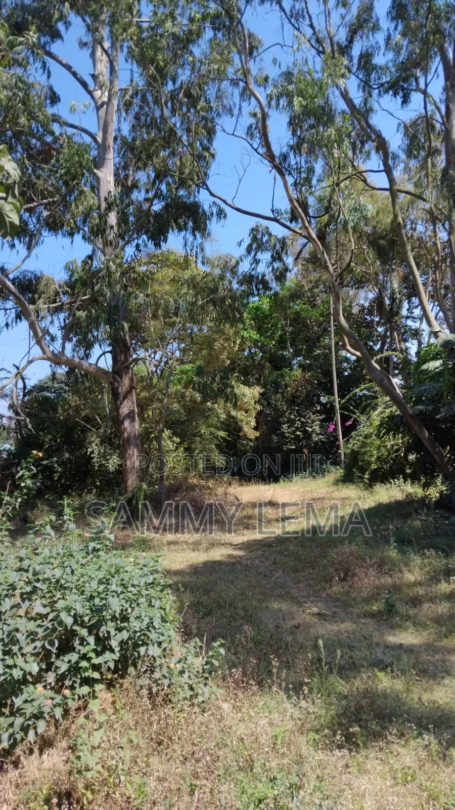 Great Plot for Business or Residential in Sakina
