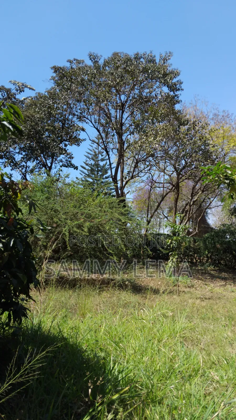 Great Plot for Business or Residential in Sakina
