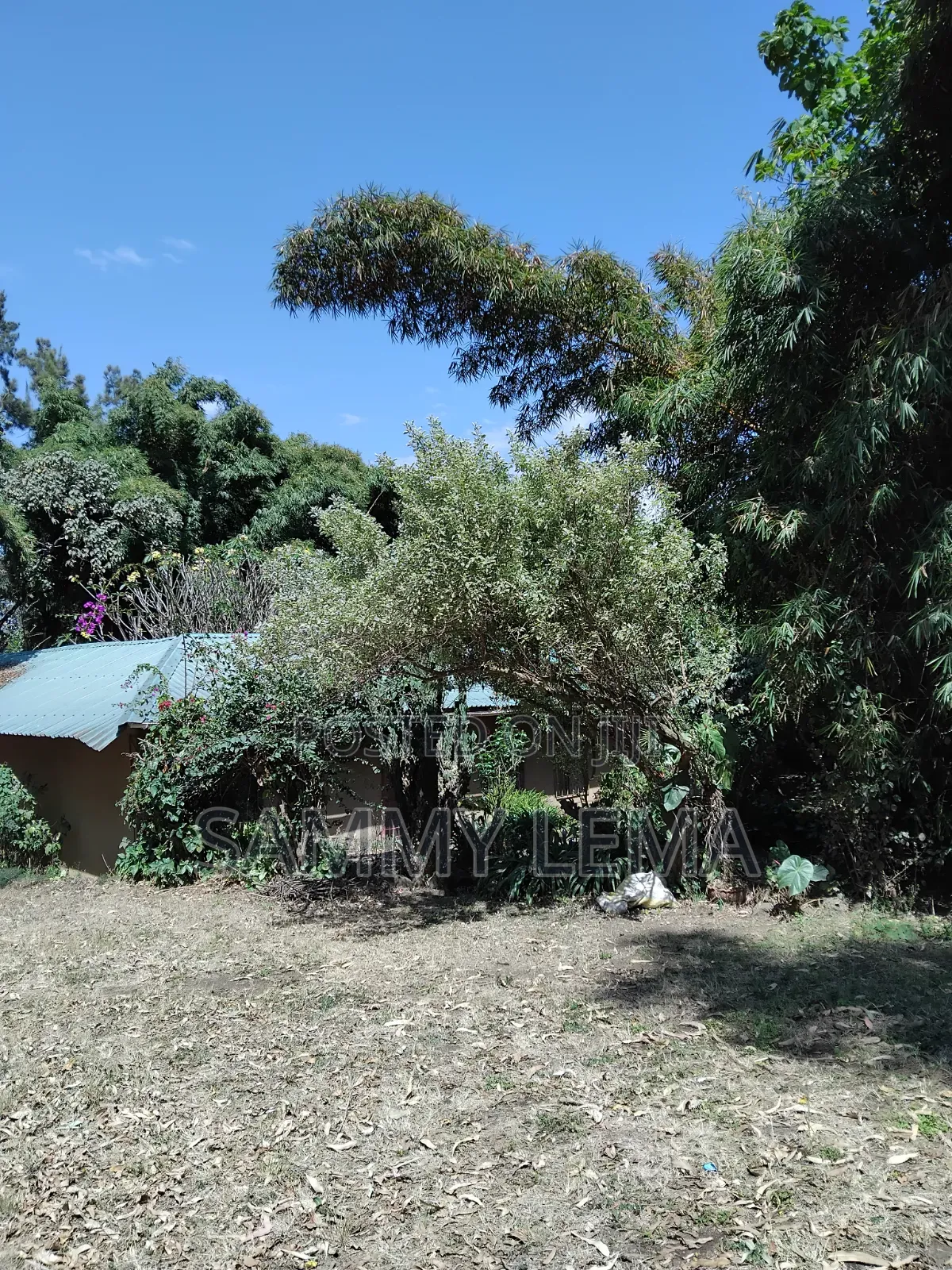 Great Plot for Business or Residential in Sakina