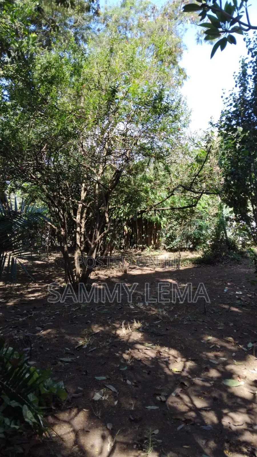 Great Plot for Business or Residential in Sakina