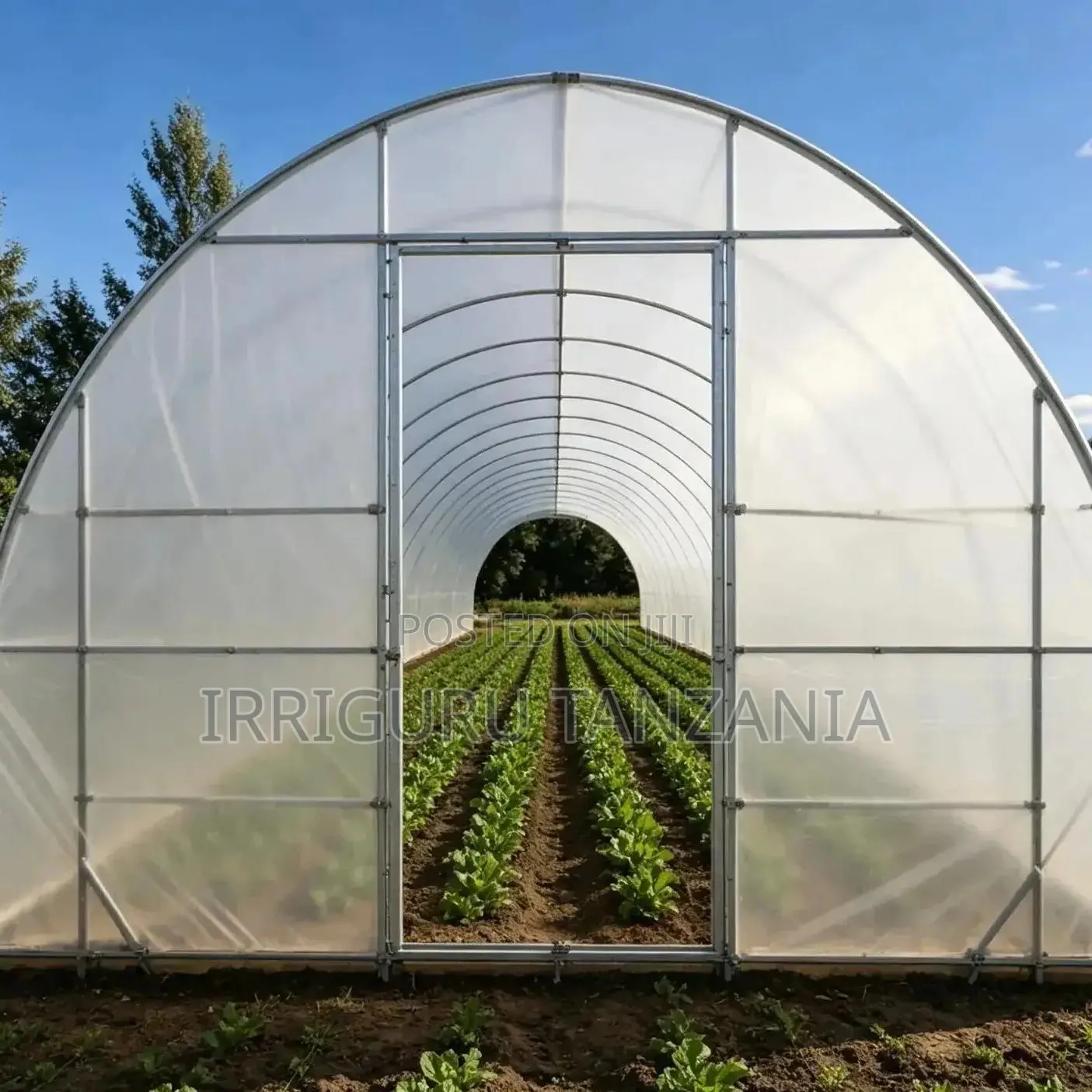 Reflective Greenhouse Film