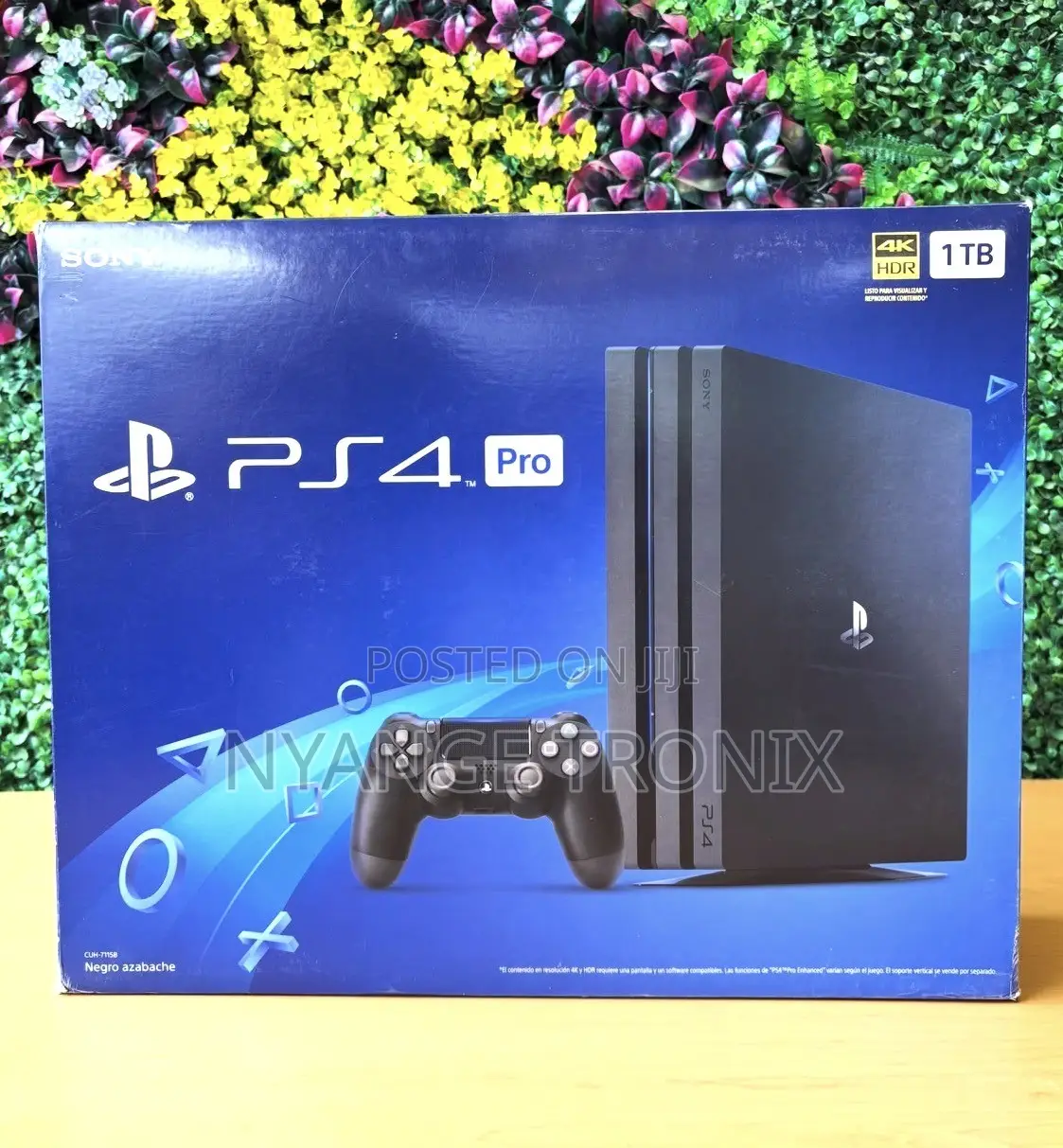 PS4 Pro With Single Pad 10 Games