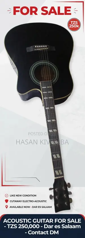 Guitar Acoustic Electronic