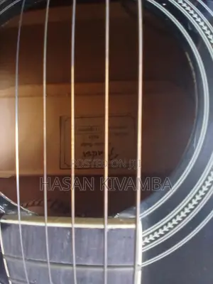 Guitar Acoustic Electronic