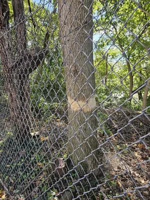 Mwaka Huu Weka Uzio Piga Simu Kwa Mr Fence Ujipatie Mahitaji Ya Uzio