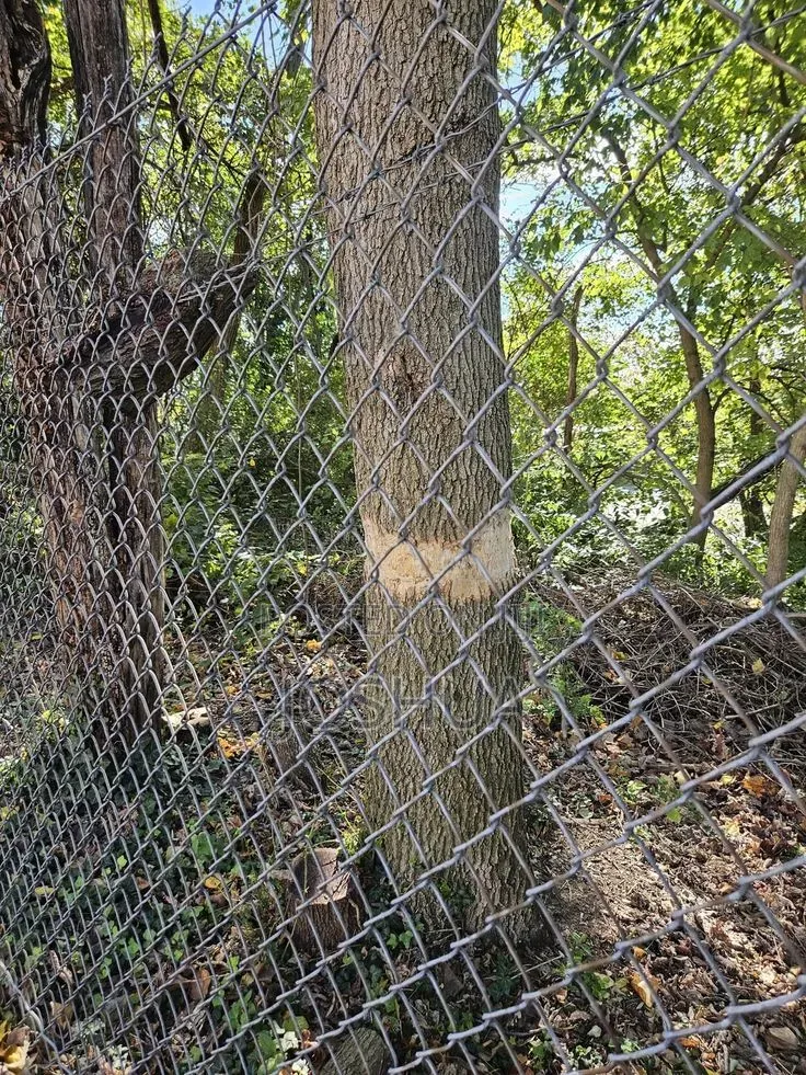 Mwaka Huu Weka Uzio Piga Simu Kwa Mr Fence Ujipatie Mahitaji Ya Uzio