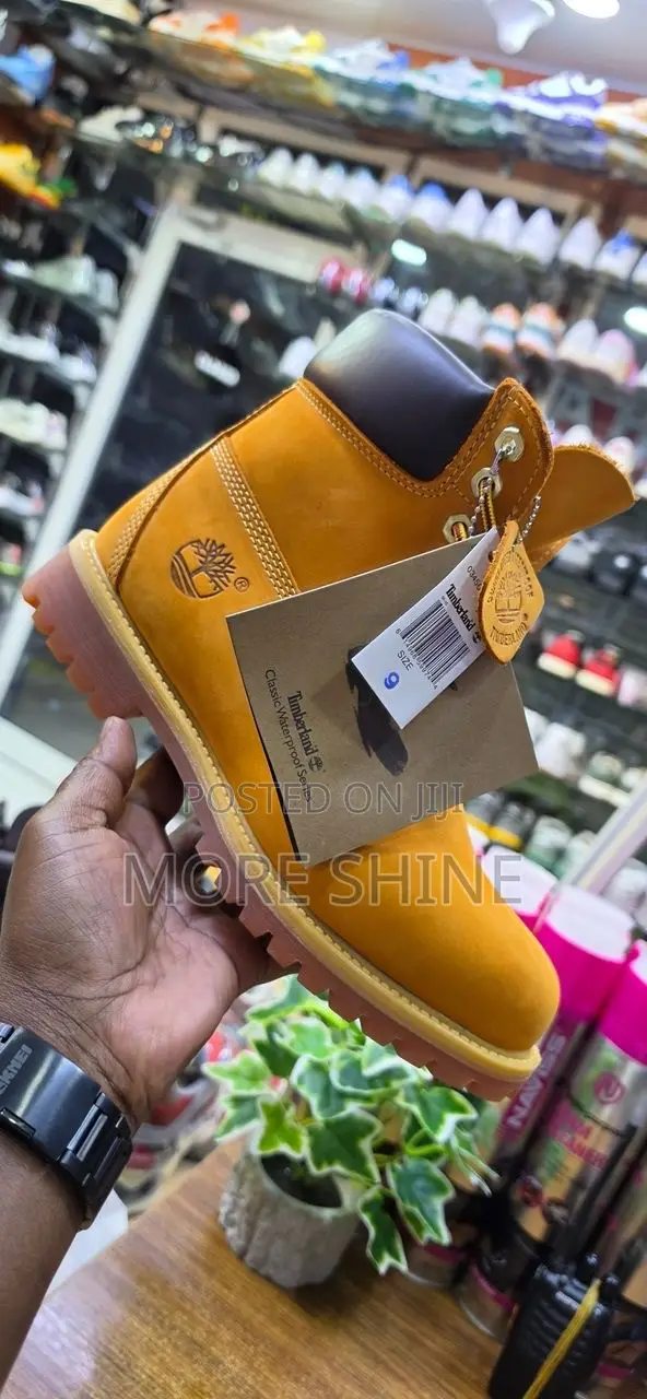 Timberland Booty