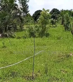 Residential Plot for Sale TSH 4 Mil. At Mapinga Kiharaka, Dar Es Salam