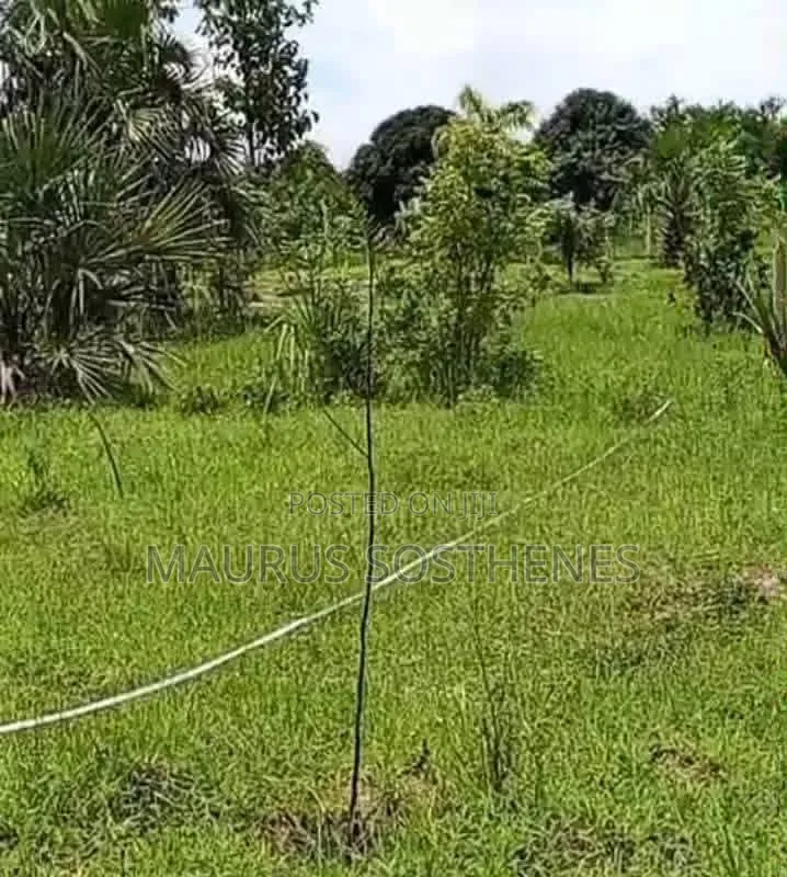 Residential Plot for Sale TSH 4 Mil. At Mapinga Kiharaka, Dar Es Salam