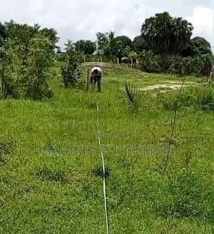 Residential Plot for Sale TSH 4 Mil. At Mapinga Kiharaka, Dar Es Salam
