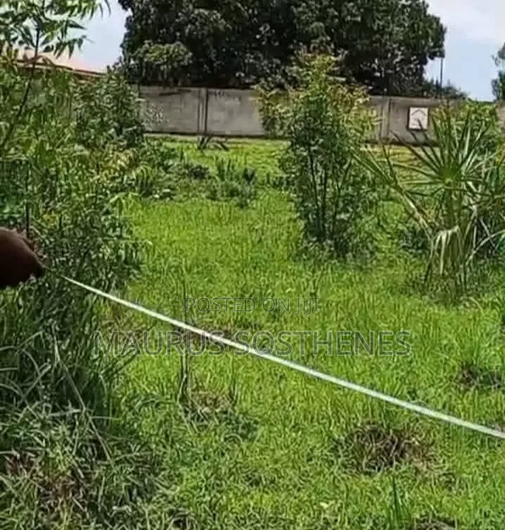 Residential Plot for Sale TSH 4 Mil. At Mapinga Kiharaka, Dar Es Salam
