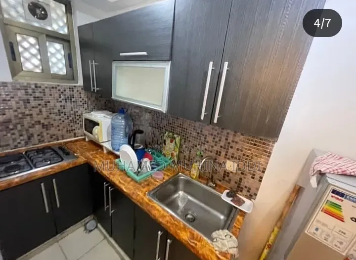 Furnished 1bdrm Apartment in Upanga for rent