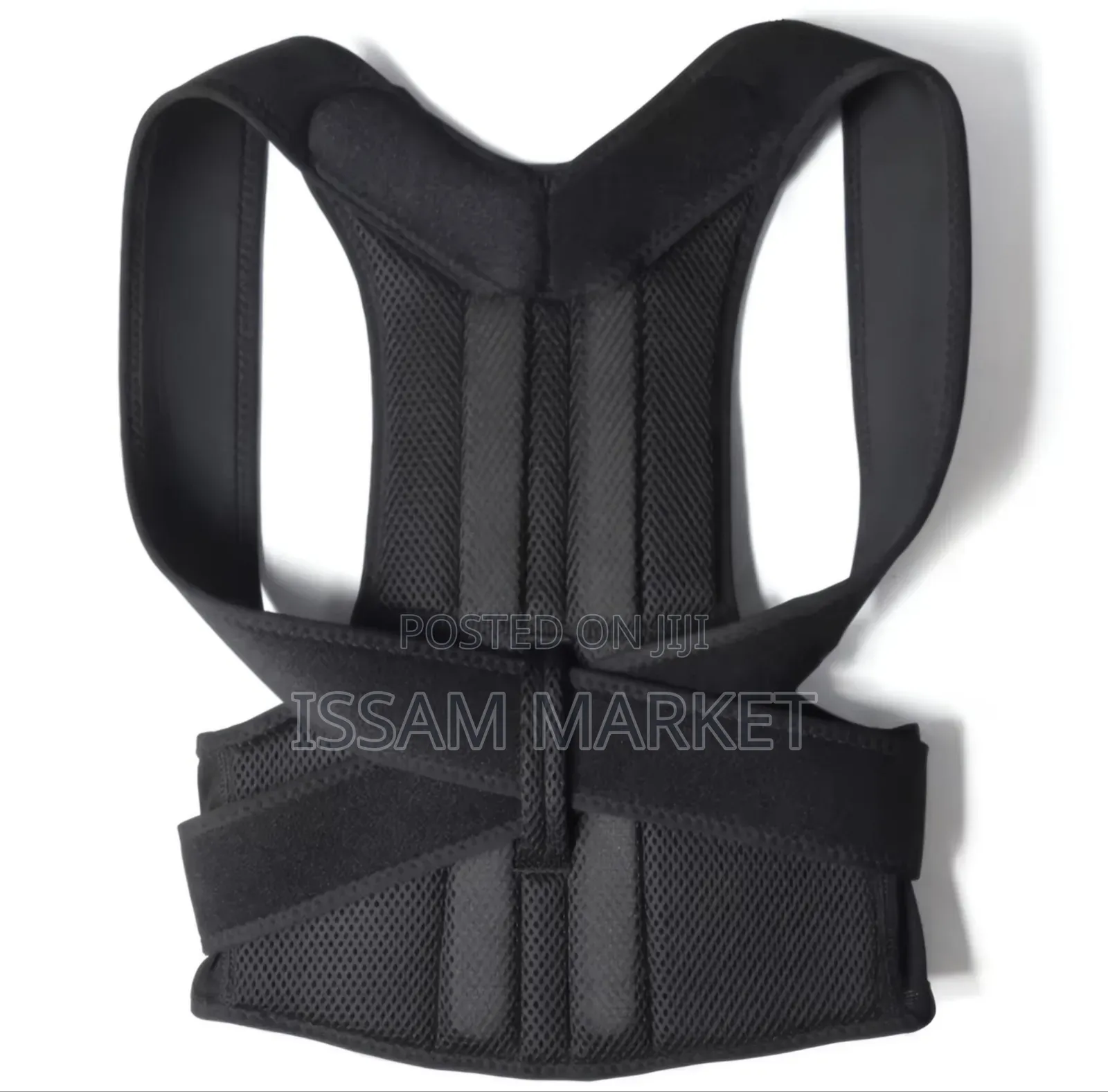 Back Pain Belt