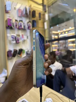 New Apple iPhone 15 Pro Max 256 GB Silver