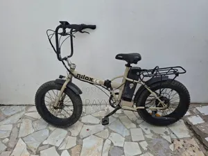 Electric Bicycle