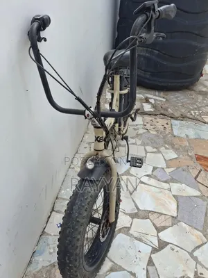 Electric Bicycle