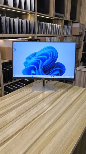 Display Monitor