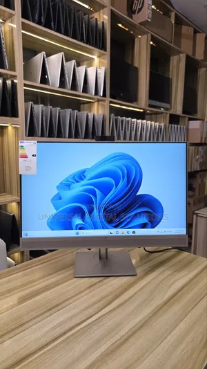 Display Monitor