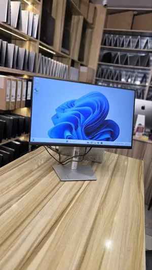 Display Monitor