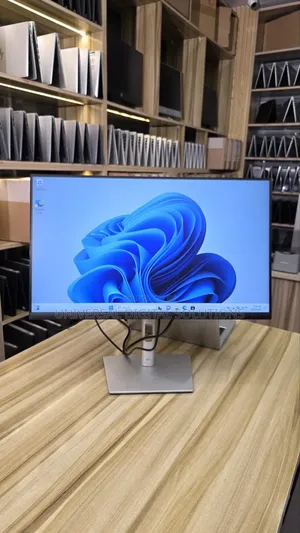 Display Monitor