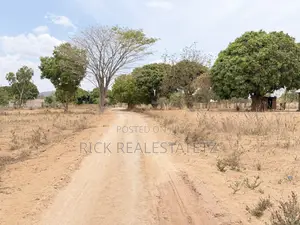 Mashamba Yanauzwa Kigongo Ferry