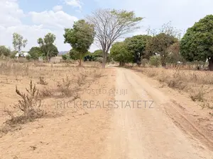 Mashamba Yanauzwa Kigongo Ferry