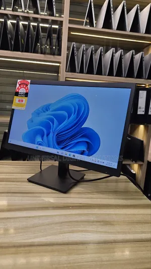 Display Monitor
