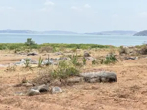 Kiwanja Cha Kwanza Kutoka Ziwani Kinauzwa Kigongo Ferry