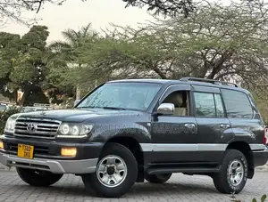 Toyota Land Cruiser 2006 Gray